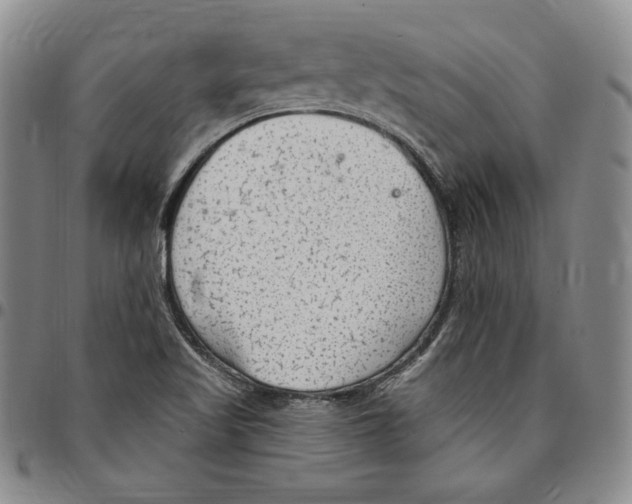 X0000094381509200711301349