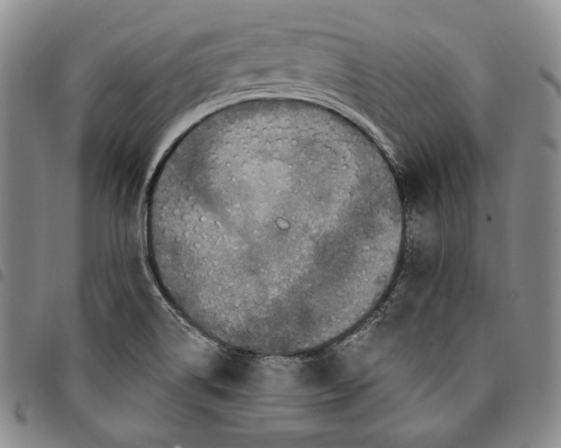 X0000094381514200711301349
