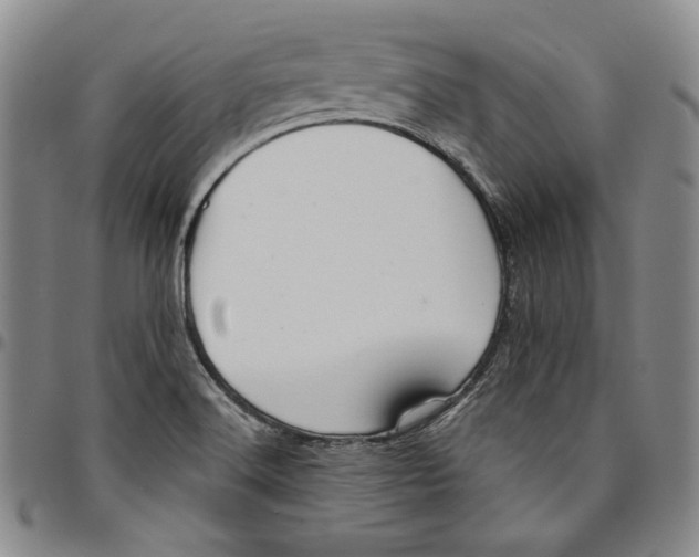 X0000094381516200711301349