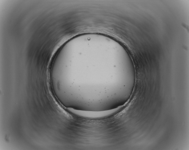 X0000094381517200711301349