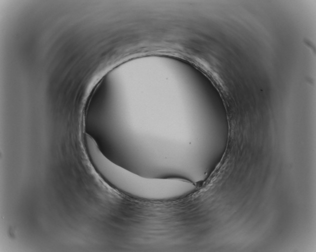 X0000094381520200711301349
