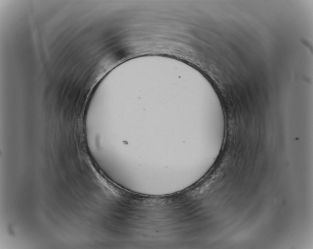 X0000094381521200711301349
