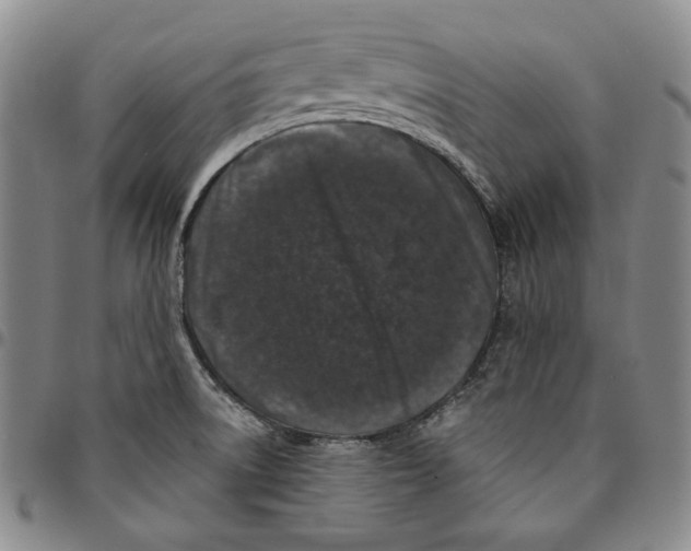 X0000094381522200711301349