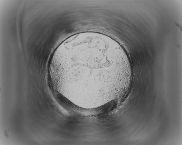 X0000094381525200711301349