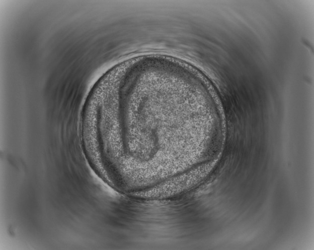 X0000094381527200711301349