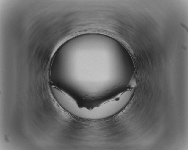 X0000094381530200711301349