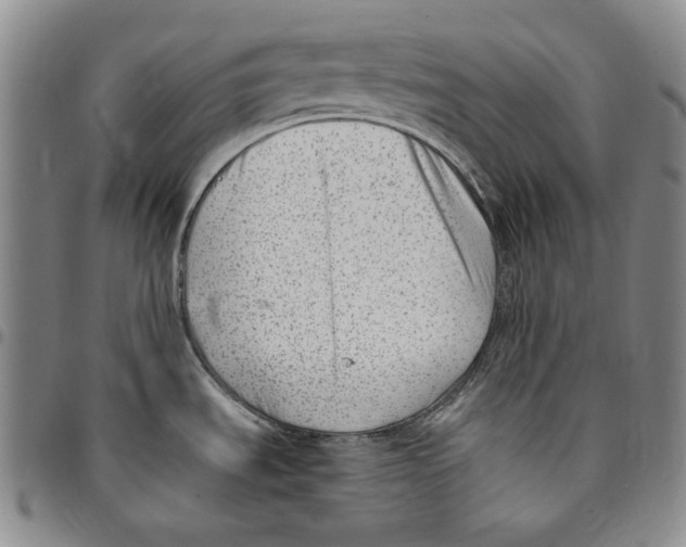 X0000094381535200711301349