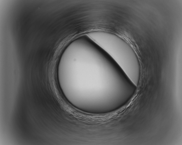 X0000094420001200711081008