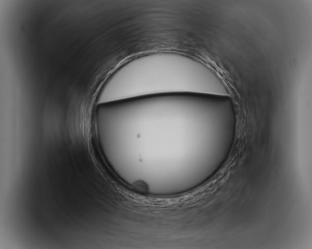 X0000094420002200711081008