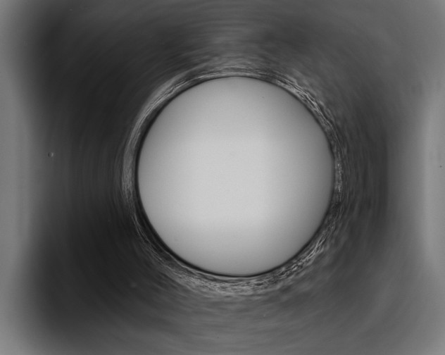 X0000094420004200711081008