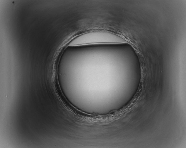 X0000094420005200711081008