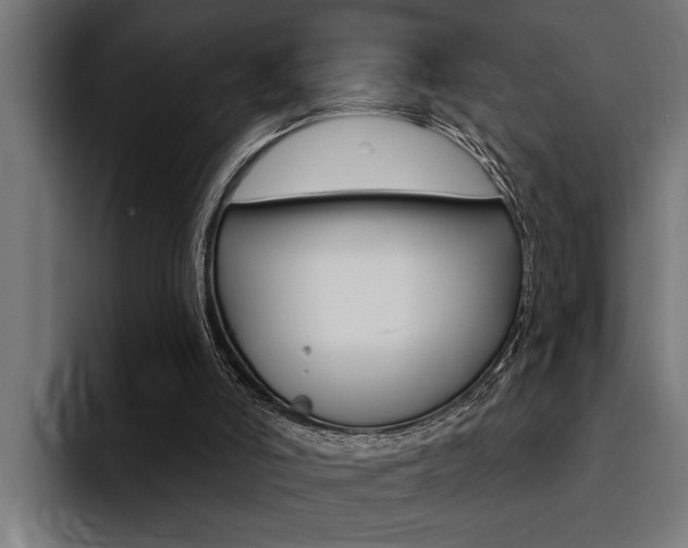 X0000094420006200711081008
