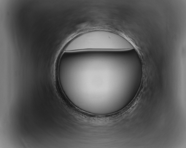 X0000094420008200711081008