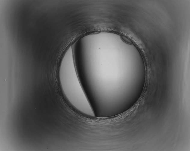 X0000094420009200711081008