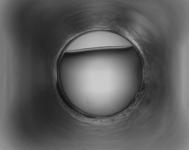 X0000094420011200711081008