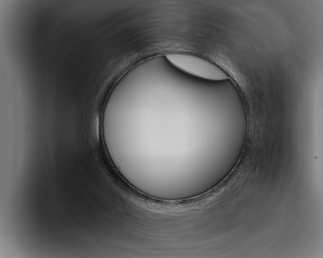X0000094420014200711081008