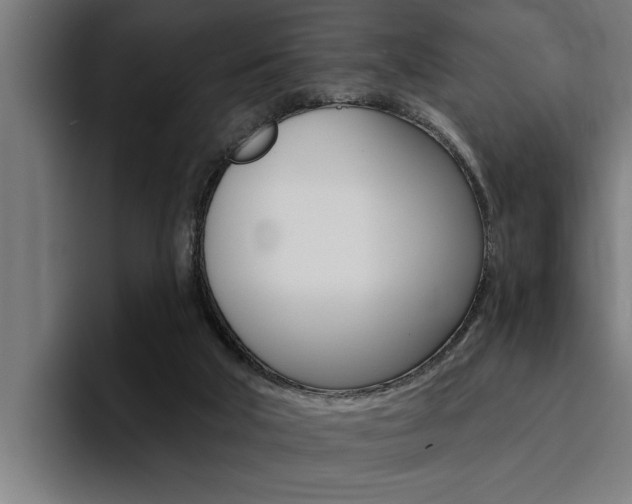 X0000094420018200711081008