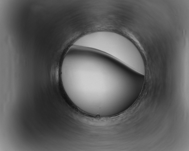 X0000094420019200711081008
