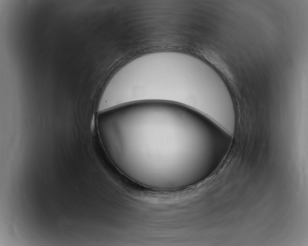 X0000094420021200711081008