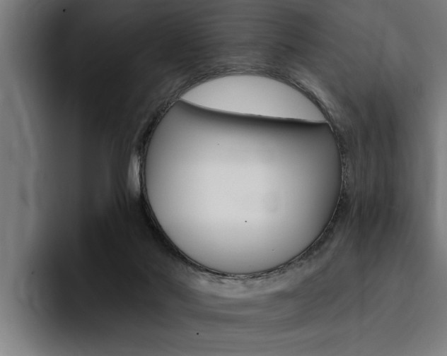 X0000094420022200711081008