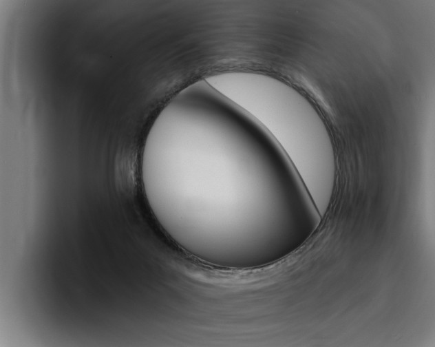 X0000094420023200711081008