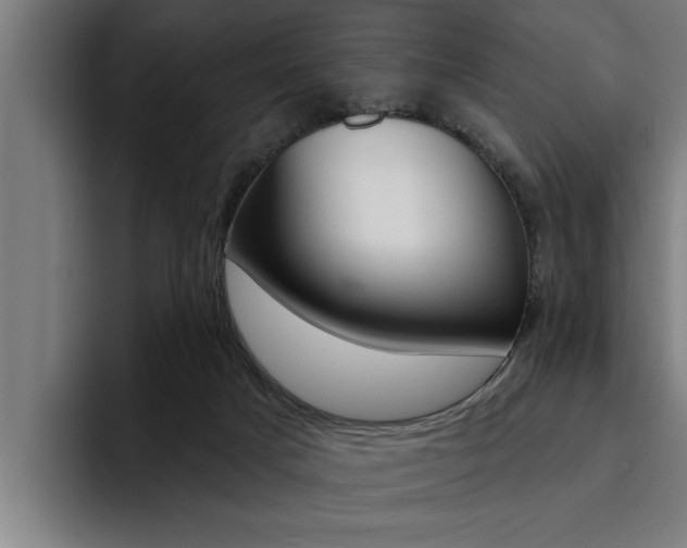 X0000094420025200711081008