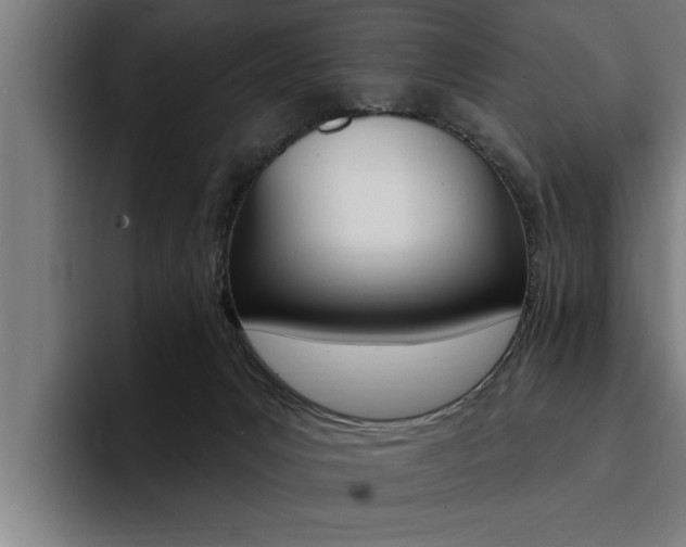 X0000094420031200711081008