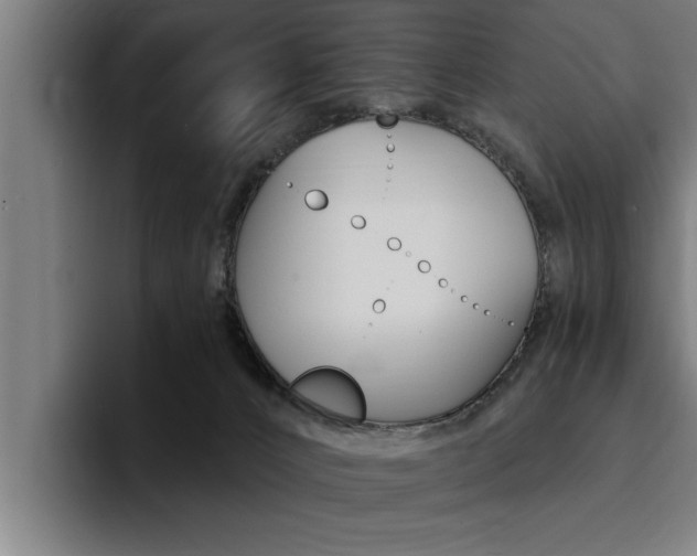 X0000094420032200711081008