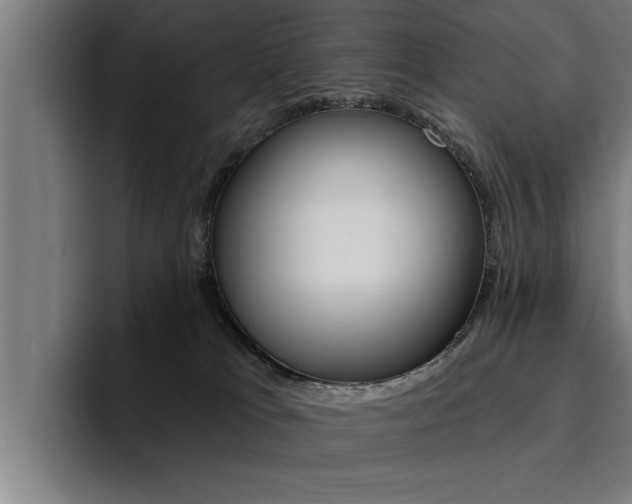 X0000094420037200711081007