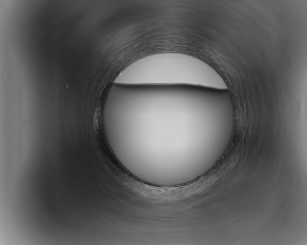 X0000094420038200711081007