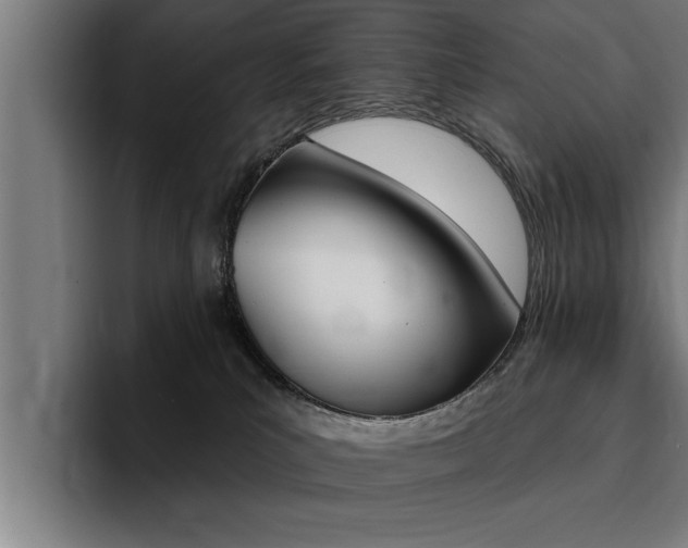 X0000094420039200711081007
