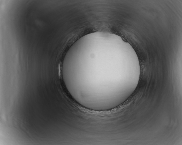 X0000094420042200711081007