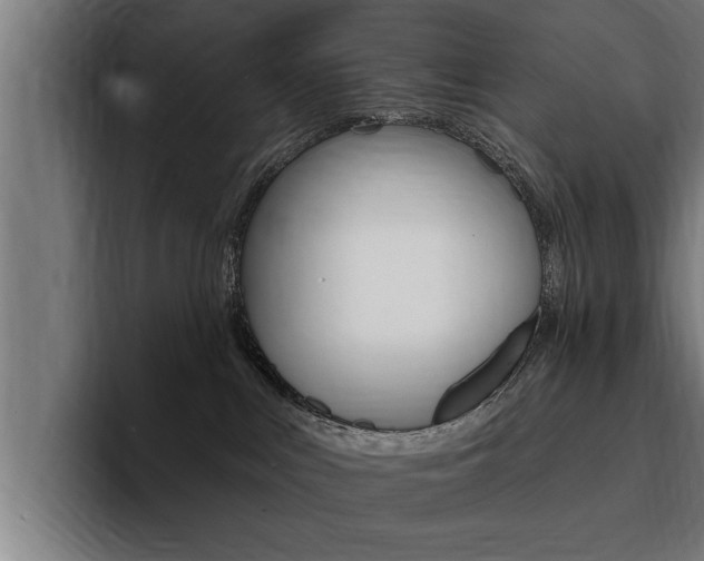 X0000094420043200711081007