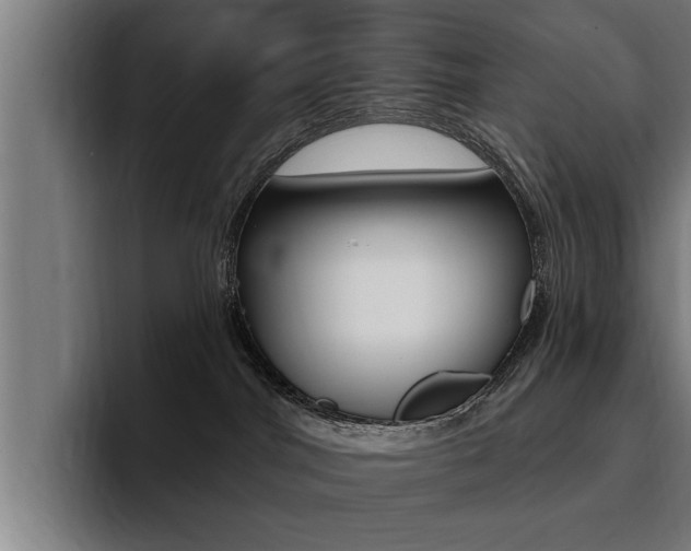 X0000094420044200711081007