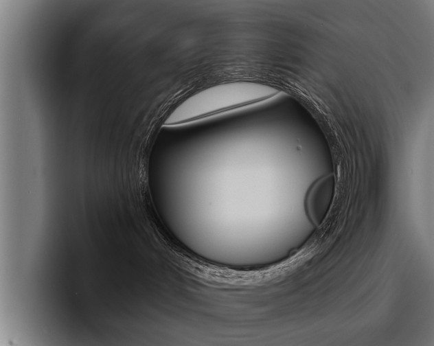X0000094420048200711081007