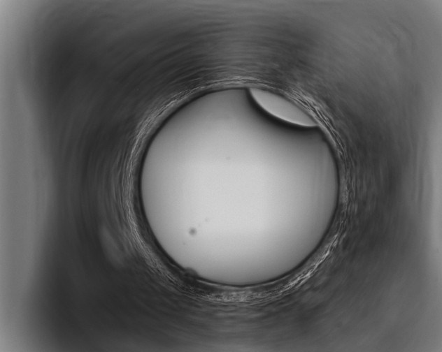 X0000094420049200711081007