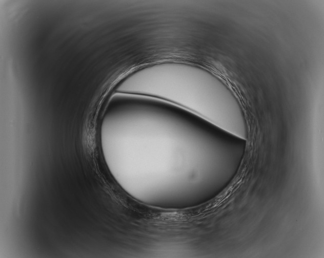 X0000094420050200711081007