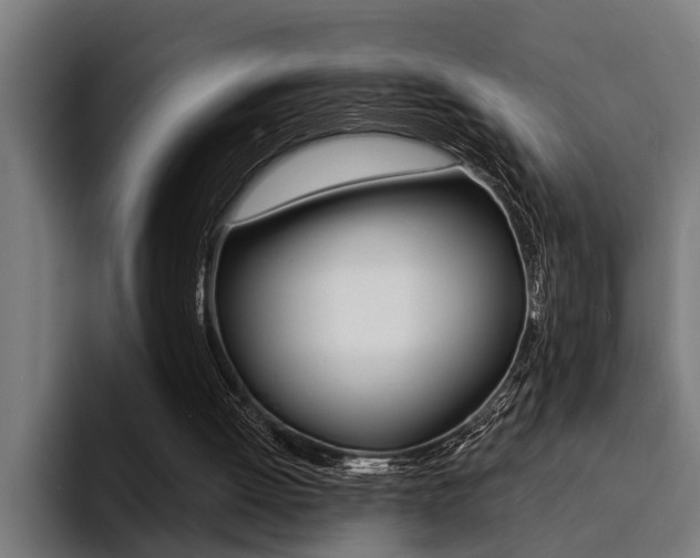 X0000094420052200711081007