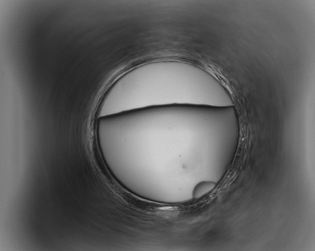X0000094420053200711081007
