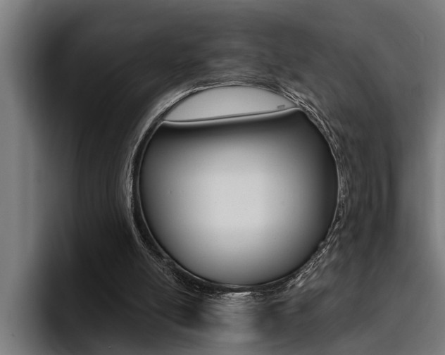 X0000094420054200711081007