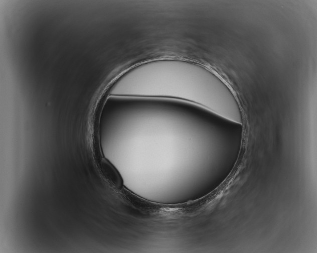 X0000094420055200711081007