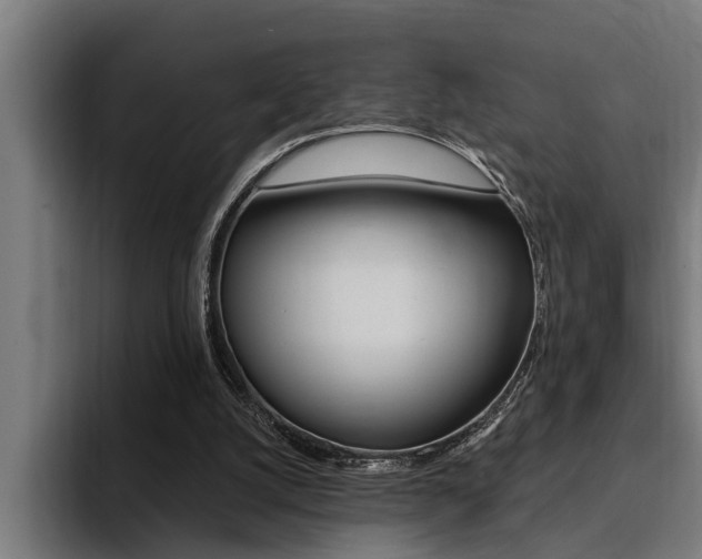 X0000094420056200711081007