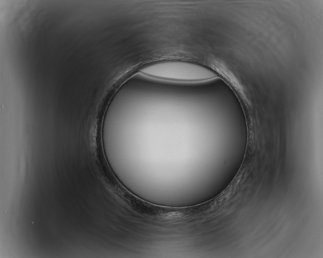 X0000094420058200711081007