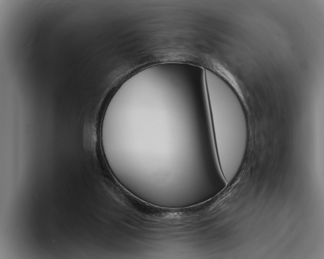X0000094420059200711081007