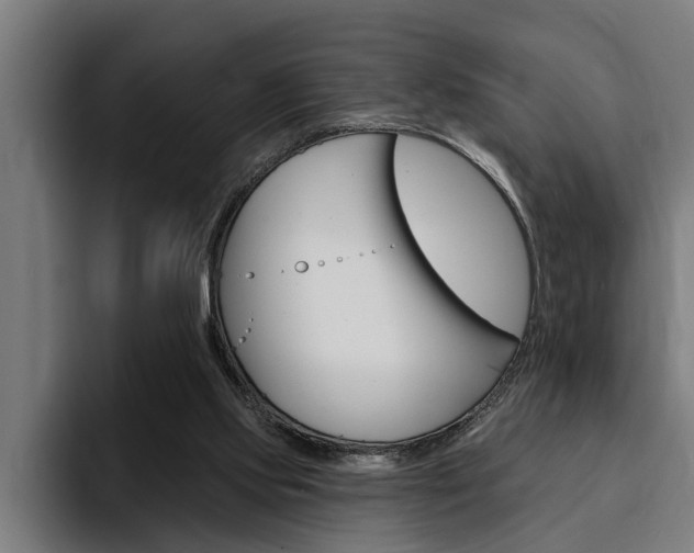 X0000094420061200711081007
