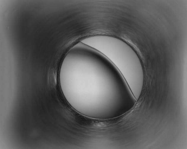 X0000094420062200711081007
