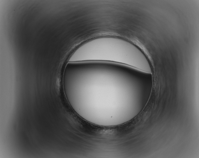 X0000094420063200711081007