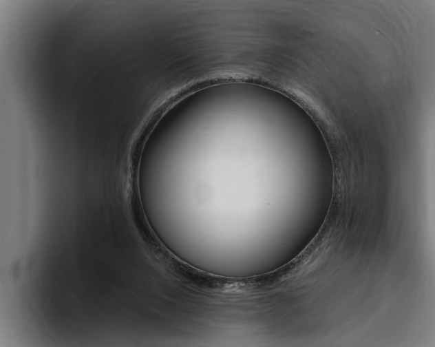 X0000094420064200711081007