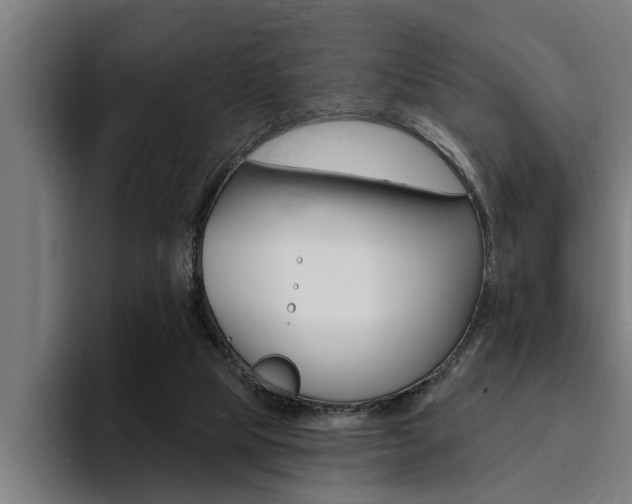 X0000094420065200711081007