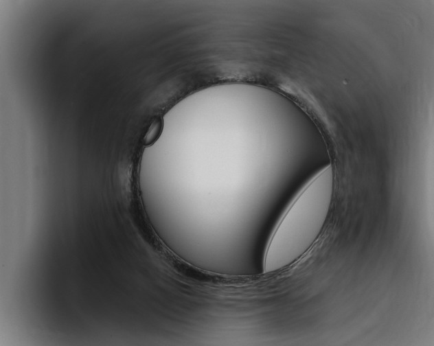 X0000094420066200711081007